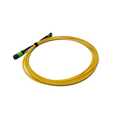 MPO-MPO Female to Female  Fiber Optic Trunk Cable 